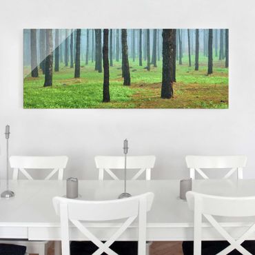 Quadro in vetro - Deep forest with pines on La Palma - Panoramico
