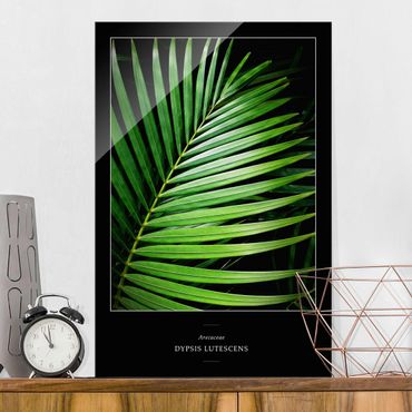 Quadro in vetro - Tropical Palm Leaf - Verticale 2:3