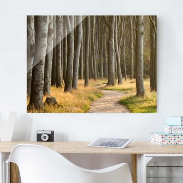 Quadro in vetro - Forest road in Northern Germany - Orizzontale 4:3