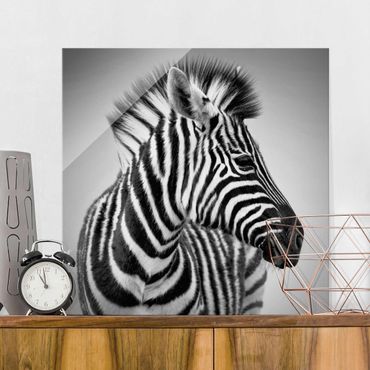 Quadro in vetro - Zebra Baby Portrait II - Quadrato 1:1
