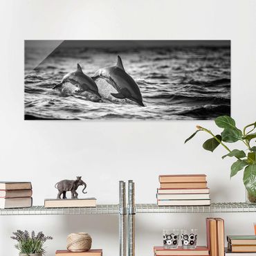 Quadro in vetro - Due delfini che saltano - Panoramico