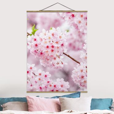 Foto su tessuto da parete con bastone - Fioriture di ciliegio giapponesi - Verticale 3:4