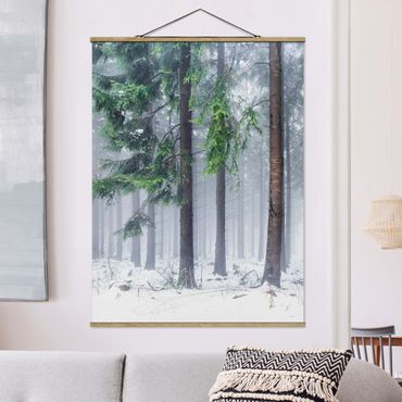Foto su tessuto da parete con bastone - Conifere d'inverno - Verticale 3:4