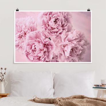 Poster - Peonie rosa - Orizzontale 2:3
