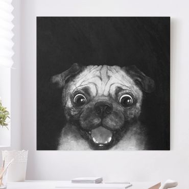 Quadri su tela - Illustrazione Pug Dog Pittura Su Bianco e Nero