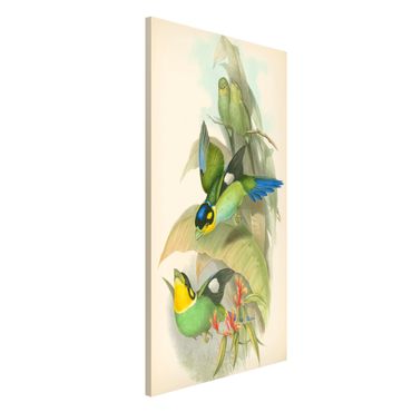 Lavagna magnetica - Illustrazione Vintage Uccelli tropicali - Formato verticale 4:3