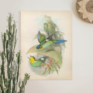 Stampa su tela - Illustrazione Vintage Uccelli tropicali - Verticale 4:3