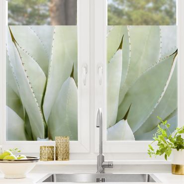 Decorazione per finestre - Aloe