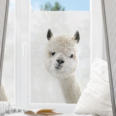Decorazione per finestre - Ritratto di alpaca