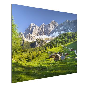 Quadro in alluminio - Styria Alpine meadow