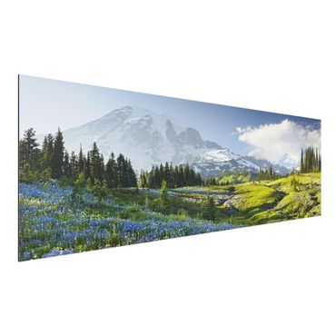 Quadro in alluminio - Mountain meadow with flowers in front of Mt. Rainier