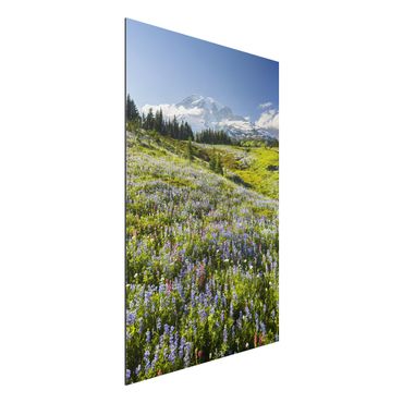 Quadro in alluminio - Prato di montagna con fiori rossi davanti al Monte Rainier