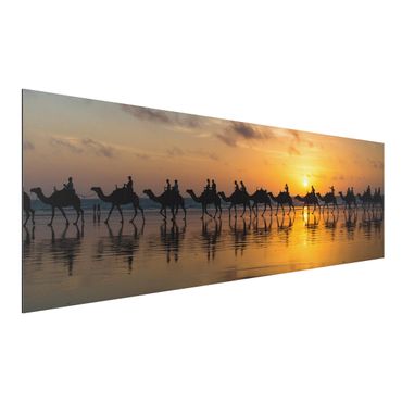 Quadro in alluminio - Camels In Sunset