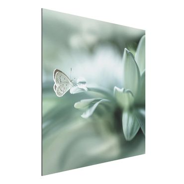 Quadro in alluminio - Farfalla E Gocce di rugiada In Pastel Verde