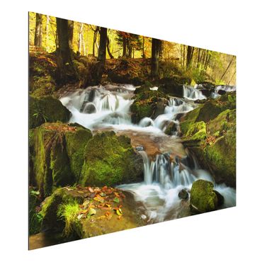 Quadro in alluminio - Waterfall autumnal forest