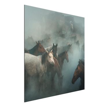 Quadro in alluminio - Wild Horses