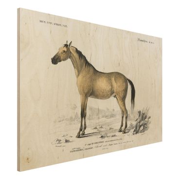 Stampa su legno - Consiglio di cavallo Vintage - Orizzontale 2:3