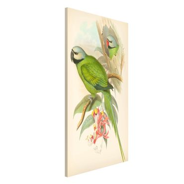 Lavagna magnetica - Illustrazione Vintage Tropical Birds II - Formato verticale 4:3