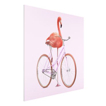 Stampa su Forex - Flamingo con la bicicletta - Quadrato 1:1