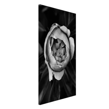 Lavagna magnetica - Peony fiore bianco frontale nero Foglie - Formato verticale 4:3