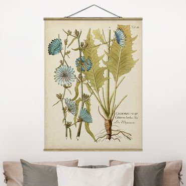 Foto su tessuto da parete con bastone - Vintage Botanica In Blue Cicoria - Verticale 4:3