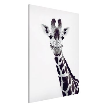 Lavagna magnetica - Ritratto di giraffa in bianco e nero