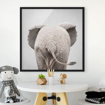 Poster con cornice - Elefantino da dietro