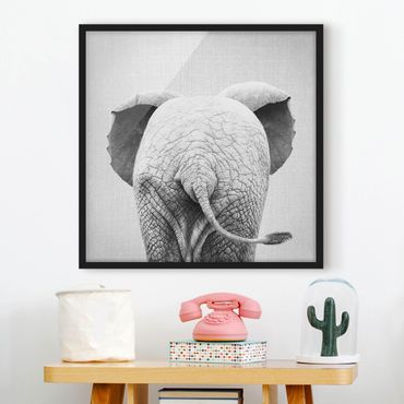 Poster con cornice - Elefantino da dietro bianco nero