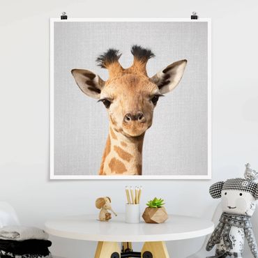 Poster riproduzione - Piccola giraffa Gandalf