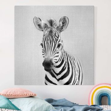 Stampa su tela - Piccola zebra Zoey in bianco e nero - Quadrato 1:1