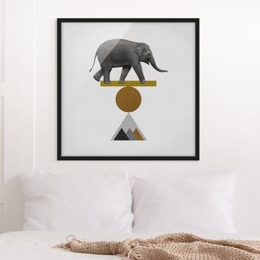 Poster con cornice - Elefante nell'arte dell'equilibrio