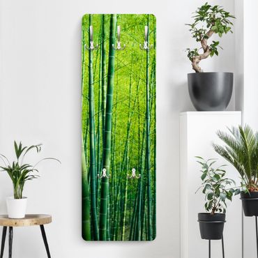 Appendiabiti - Bamboo forest