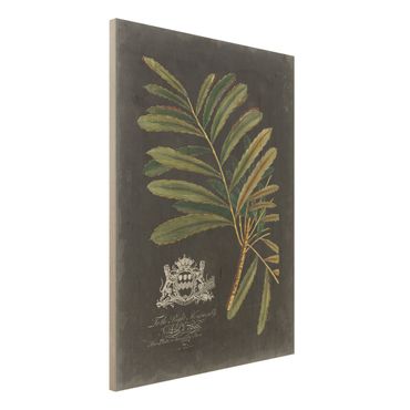Stampa su legno - Vintage Royales foglie su fondo nero II - Verticale 4:3