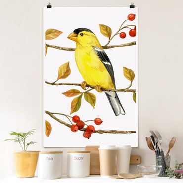 Poster - Uccelli e Bacche - American Cardellino - Verticale 3:2