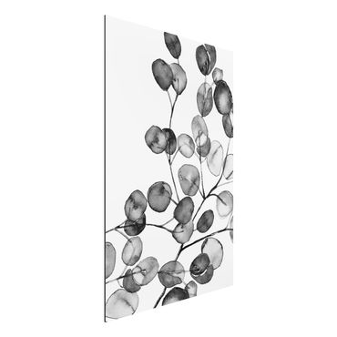 Stampa su alluminio - Ramo di eucalipto in acquerello bianco e nero