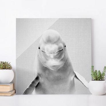 Quadro in vetro - Beluga Bob in bianco e nero