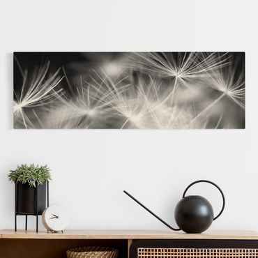 Stampa su tela - Moving Dandelions Close Up On Black Background - Panoramico