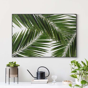 Quadro intercambiabile - Scorcio tra foglie di palme verdi