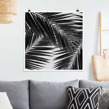 Poster - Scorcio tra foglie di palme in bianco e nero