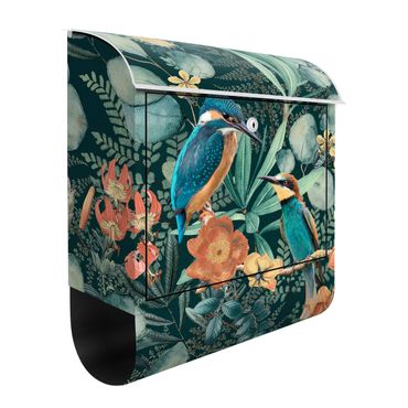 Cassetta postale - Paradiso floreale con colibrì e martin pescatore