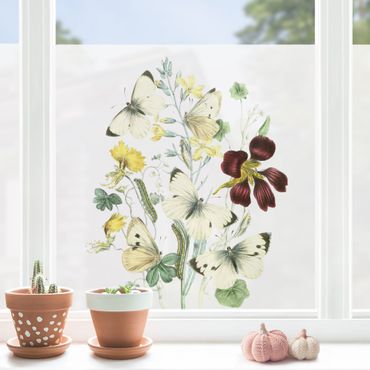 Decorazione per finestre - Farfalle britanniche II