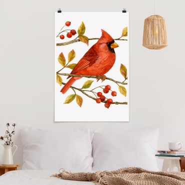 Poster - Uccelli e Bacche - Northern Cardinal - Verticale 3:2