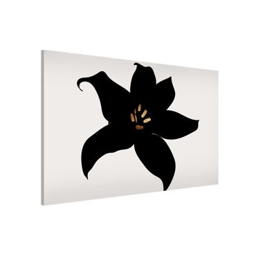 Lavagna magnetica - Mondo vegetale grafico - Orchidea in nero e oro
