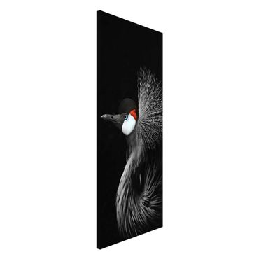 Lavagna magnetica - Gru coronata nera