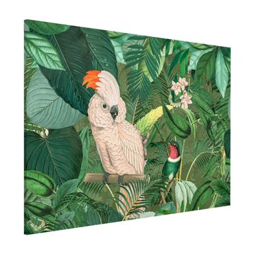 Lavagna magnetica - Vintage Collage - Cockatoo E Hummingbird - Formato orizzontale 3:4