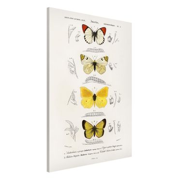 Lavagna magnetica - Vintage Consiglio Farfalle II - Formato verticale 2:3