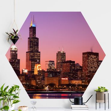 Carta da parati esagonale adesiva con disegni - Chicago Skyline