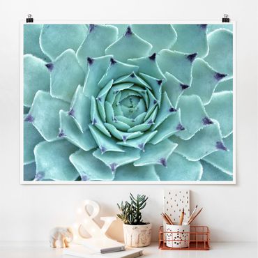 Poster - Cactus Agave - Orizzontale 3:4