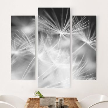Stampa su tela 3 parti - Moving Dandelions Close Up On Black Background - Trittico da galleria