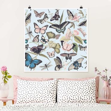 Poster - Vintage Collage - farfalle e libellule - Quadrato 1:1